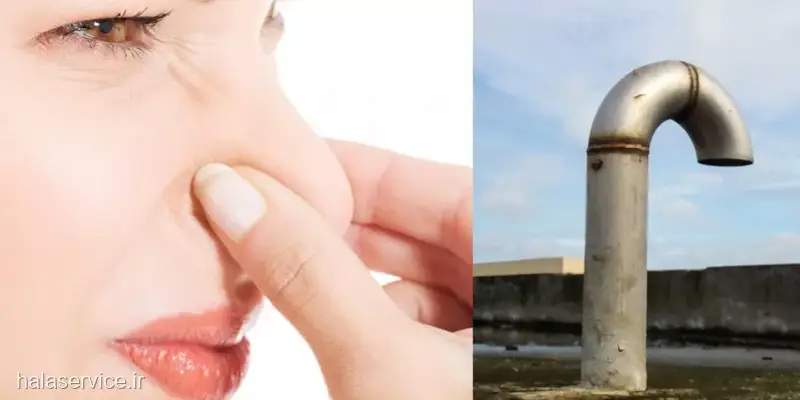 کالبدشکافی دقیق سیستم لوله کشی و منشأ بوی فاضلاب روشویی کالبدشکافی دقیق سیستم لوله کشی و منشأ بوی فاضلاب روشویی